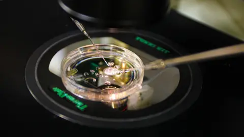 Revolutionary Breakthrough: Scientists Create Human Embryos from Skin Cells