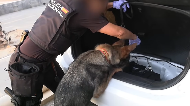 Co‑operation Between Spain and Europe Cracks Down on Mediterranean Drug and People‑Smuggling Network