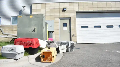 FBI Drug Disposal Incident Sends Animal Shelter Staff to Hospital