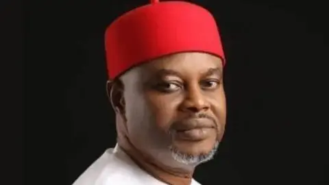 Uche Nnaji Resigns Amid Forgery Allegations