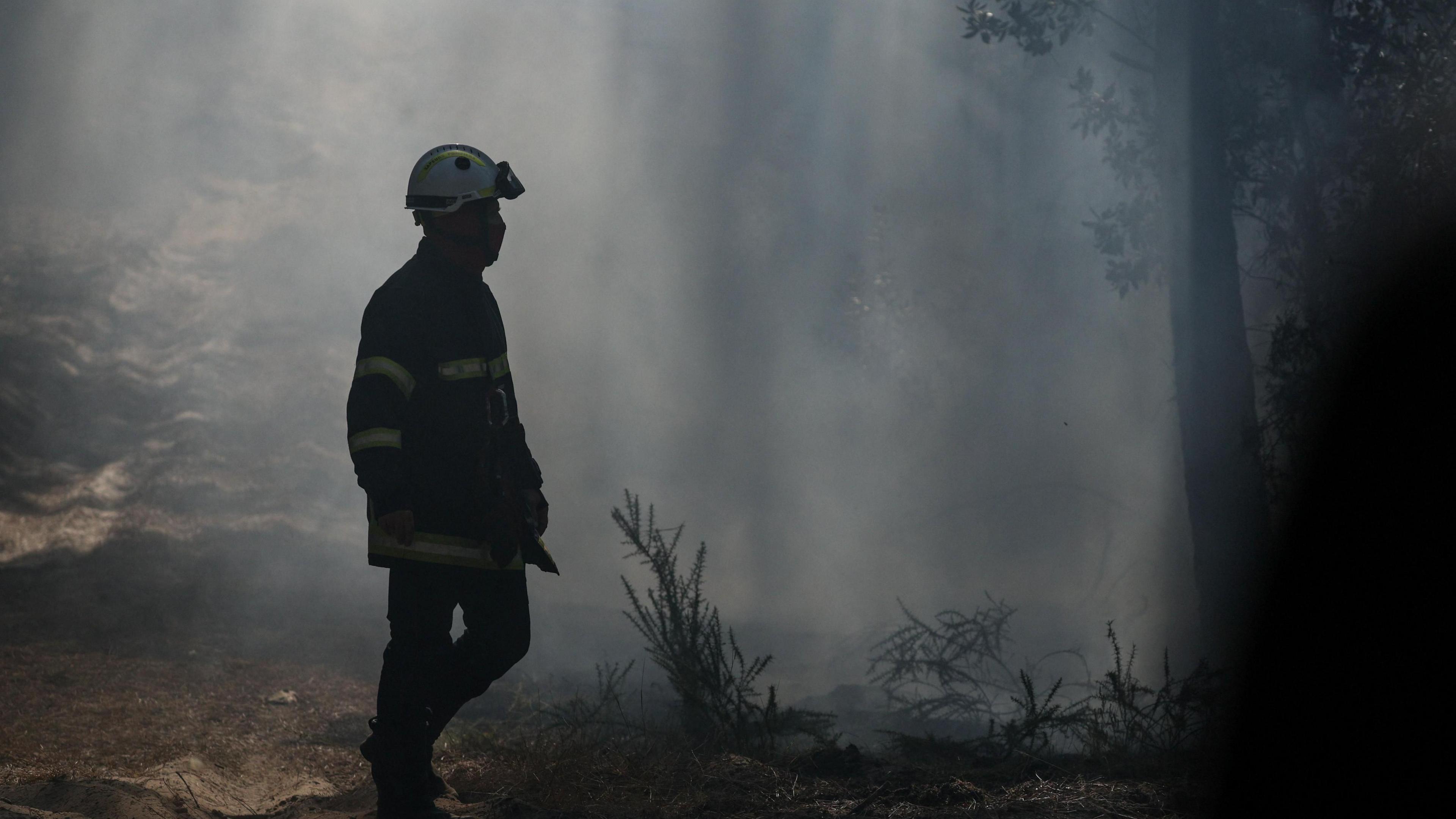 Gironde Wildfires Intensify as France Prepares for 40°C Heatwave