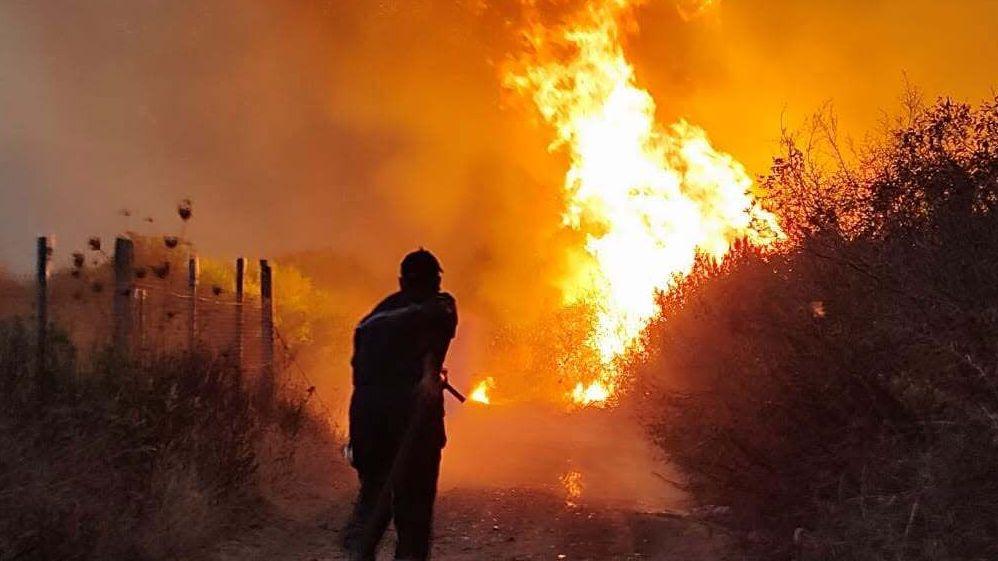 Algerian President Calls for Death Penalty for Arsonists After Fatal Wildfires