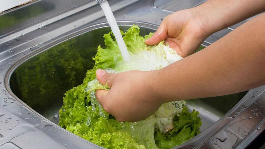 US Reports First Two Deaths from ‘Explosive Diarrhoea’ Cyclospora Outbreak