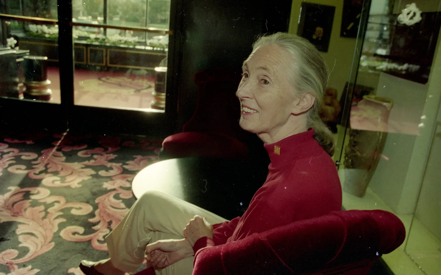 Remembering Jane Goodall: A Legacy of Compassion and Conservation