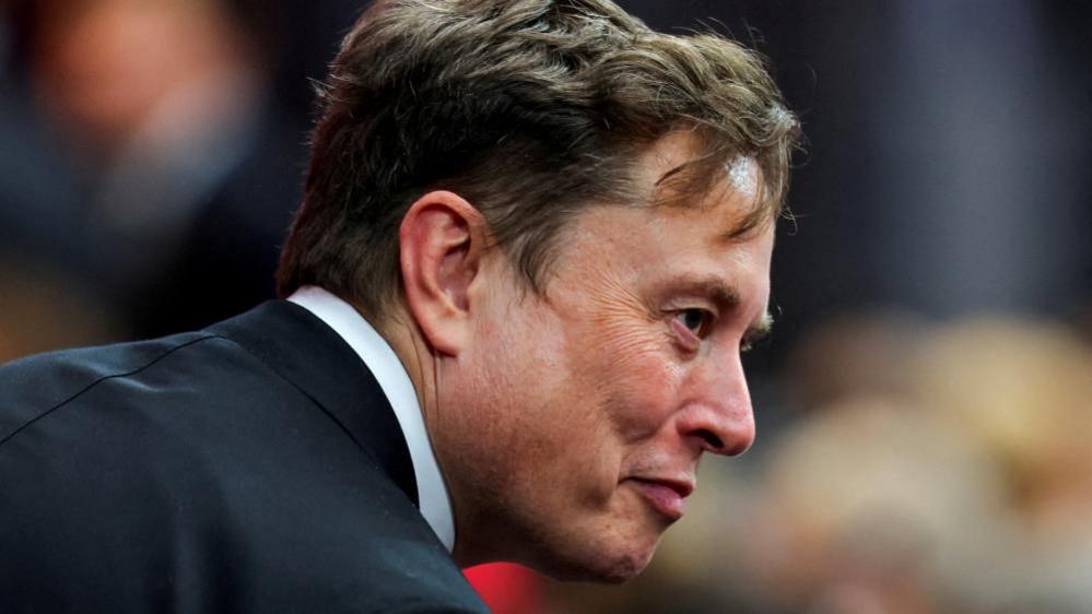 Elon Musk’s New Film Push Raises Alarm Over Far‑Right Extremism