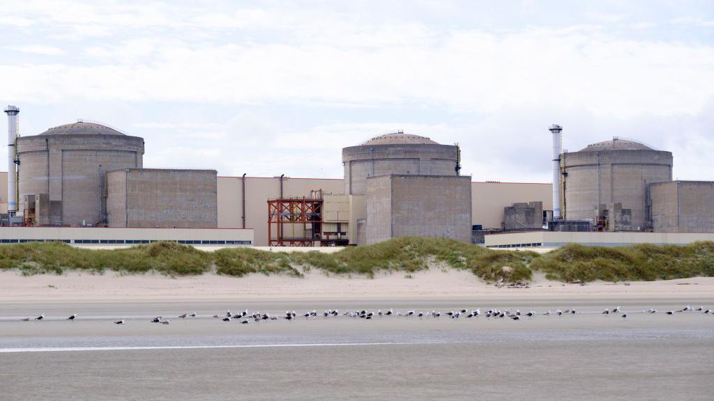 Jellyfish Swarm Forces Partial Shutdown of Gravelines Nuclear Power Plant