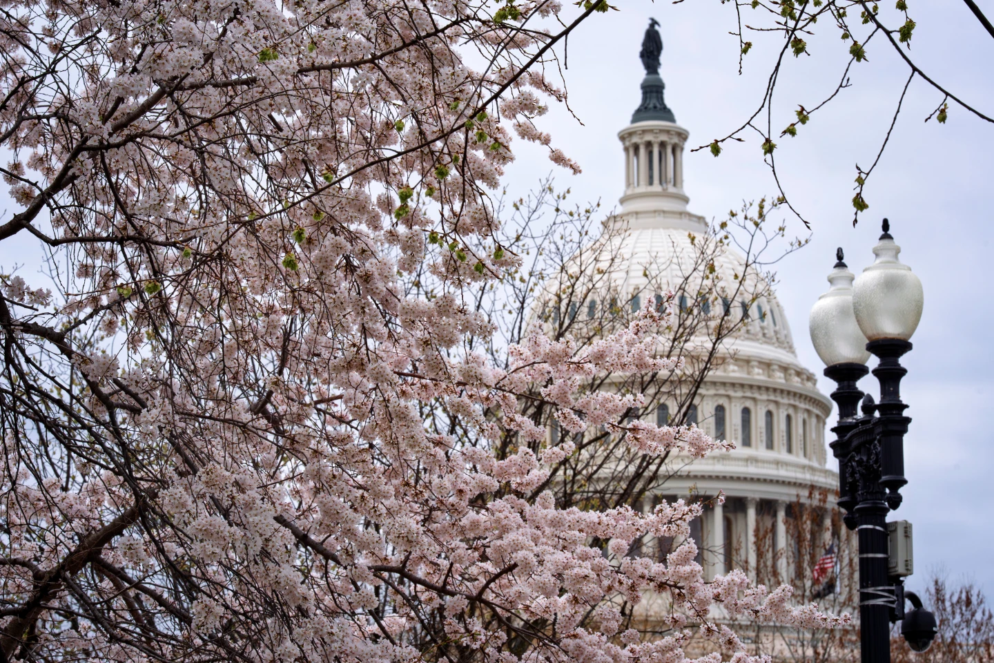 Senate Republicans Push for Funding to End Historic Government Shutdown