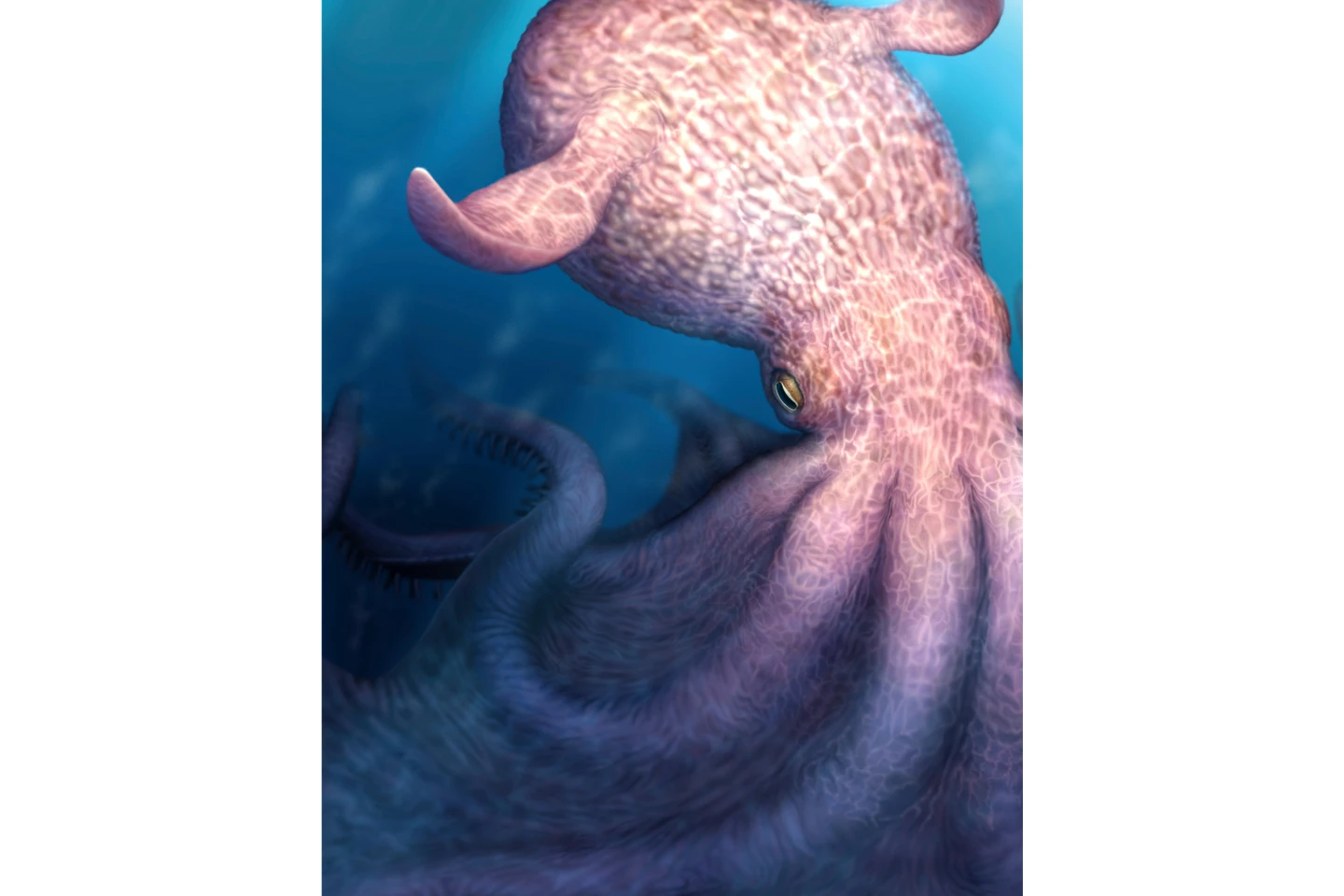 Ancient Octopuses: The Unseen Titans of the Cretaceous Seas