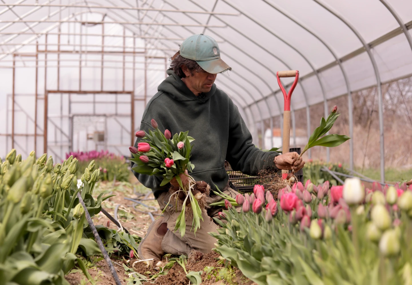 Northeast Farmers Face Challenges Amid Sudden Weather Swings