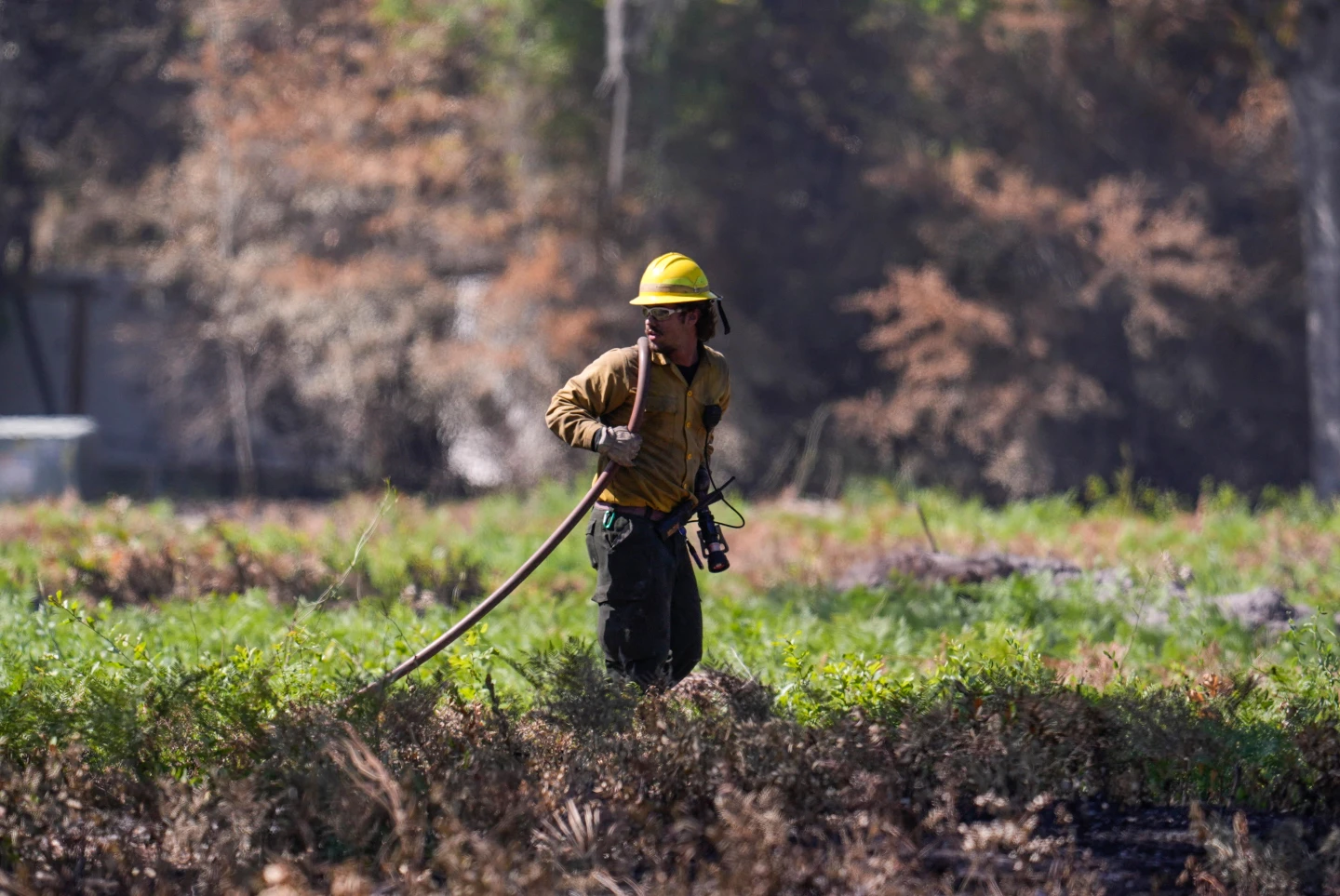 Wildfire Prompts Widespread Evacuations in Southeast Georgia