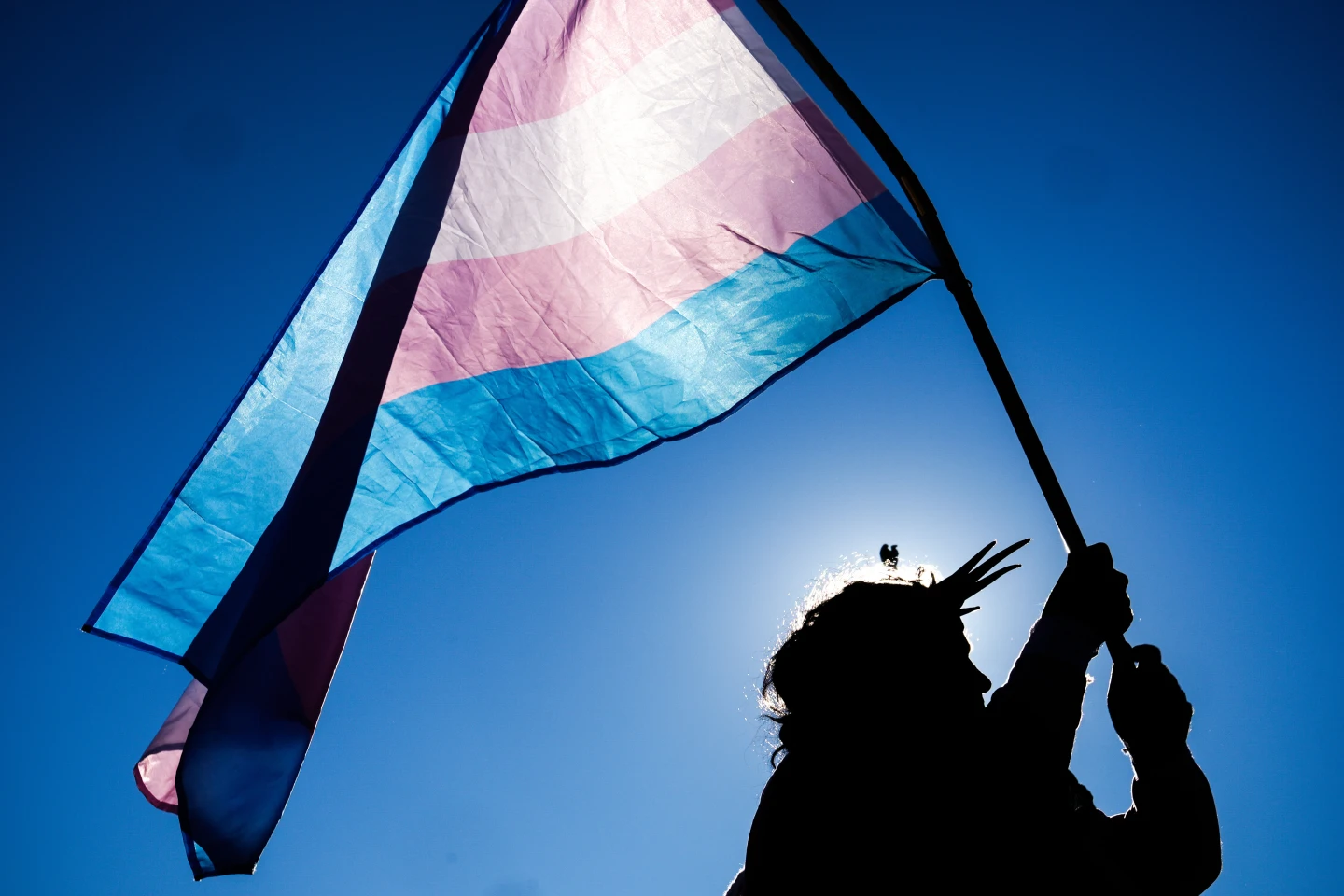 Gallup: Same‑Sex Marriage Acceptance Hits Plateau, Republican Stance Declines