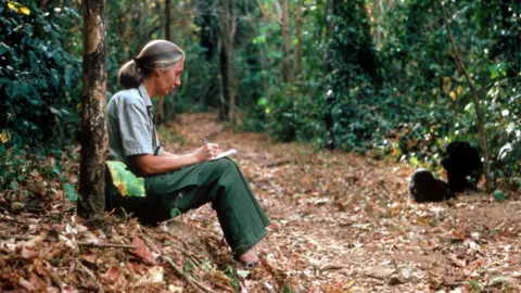 Celebrating the Life and Legacy of Dame Jane Goodall