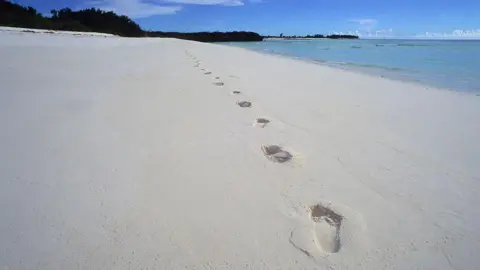 The Impact of Assumption Island on Seychelles' Presidential Elections