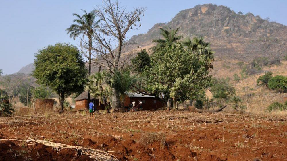 Togo Detains Two French Journalists on False Allegations, RSF Calls for Release