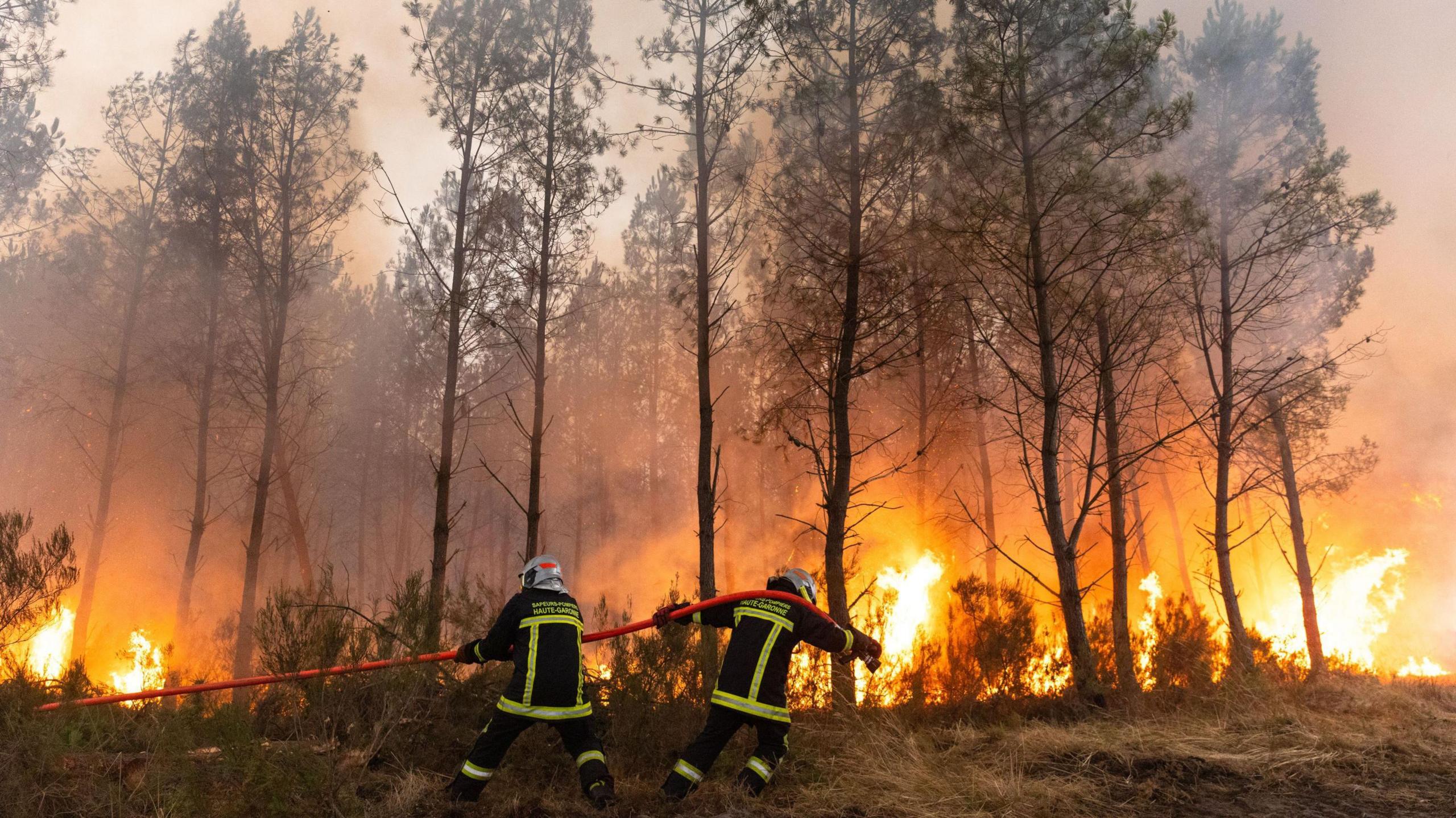 Wildfire Hits Bordeaux and Madrid: Residents Describe a Wall of Flames