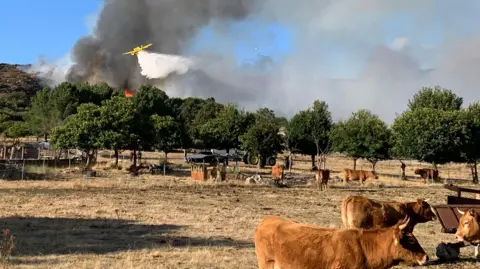 Wildfires Devastate Spain's Rural Communities: A Summer of Loss