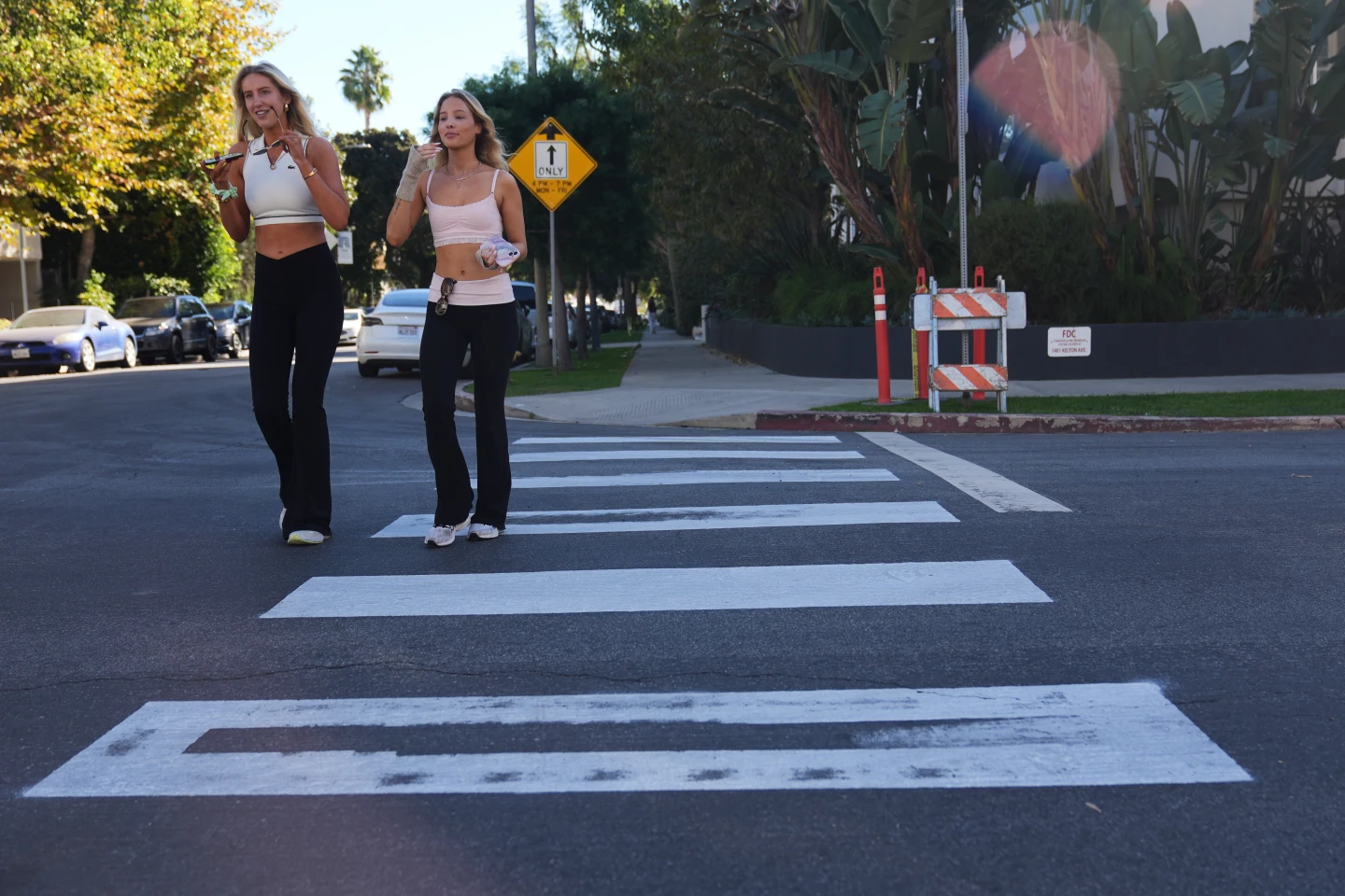 Activist Arrested After Painting Unsafe Crosswalks in Los Angeles