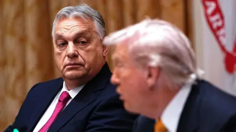 The Complex Deal Between Hungary's Orban and Trump: A Closer Look