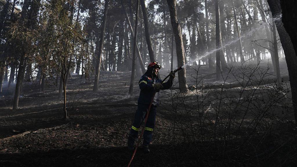 Greek Wildfire Claims Two Lives, Drives Evacuation Ahead of Summer Rush