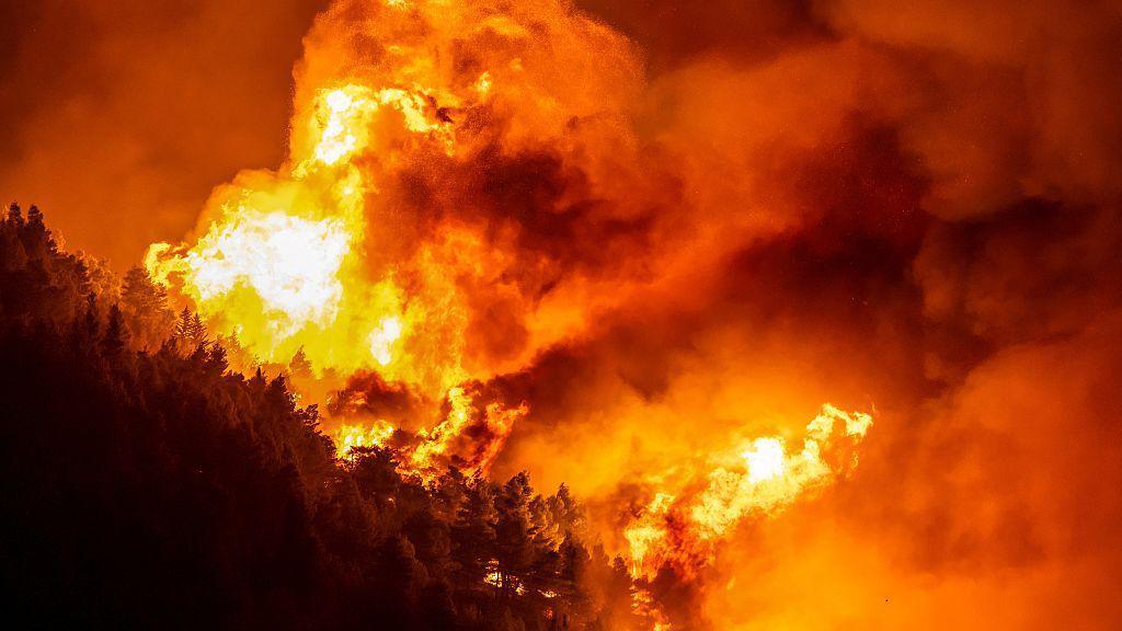 Dozens injured, thousands evacuated after Croatian coastal wildfire