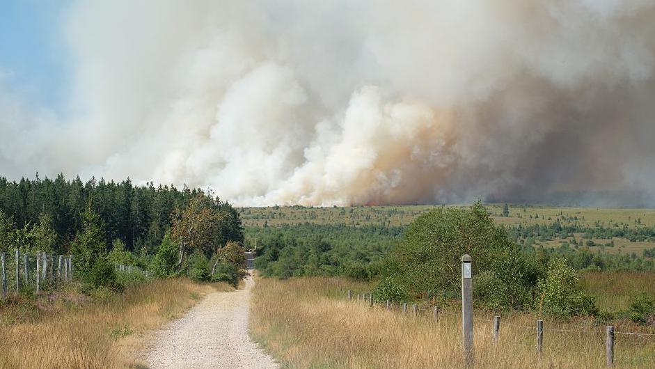 Belgian Wildfire Rages Through High Fens Nature Reserve