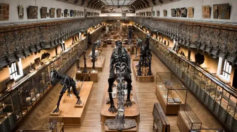 Chinese Woman Arrested for Stealing €1.5M in Gold from Paris Museum