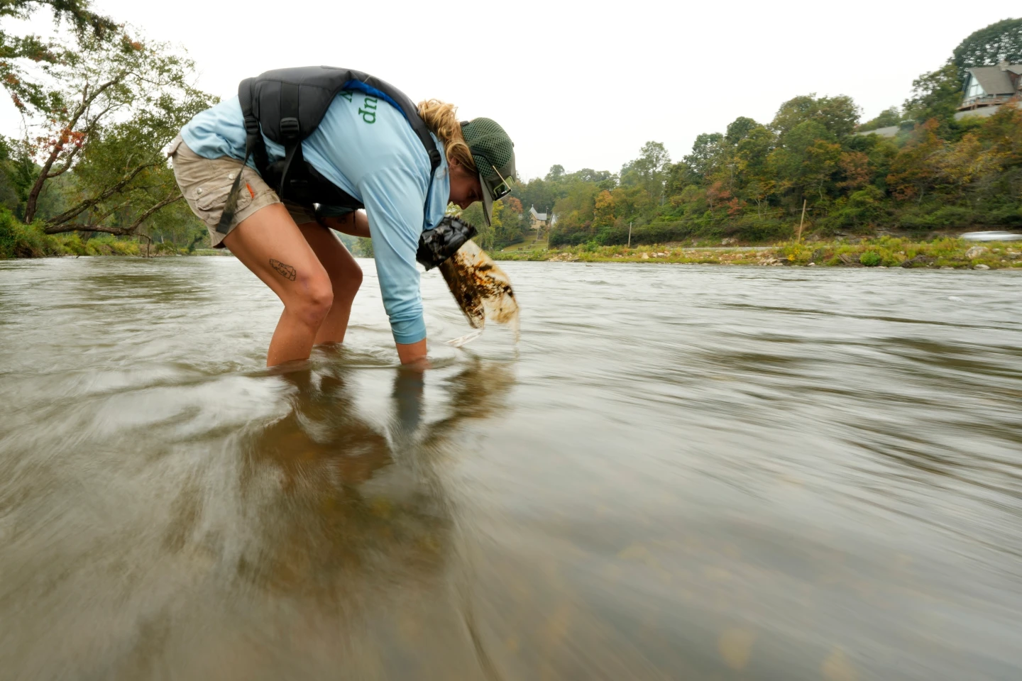 Recovering from the Aftermath of Hurricane Helene: A Community’s Struggle