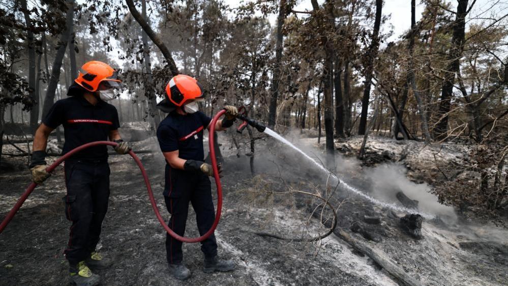 18‑Year‑Old Volunteer Firefighter Under Investigation for Arson in France’s Fontainebleau Forest Fire