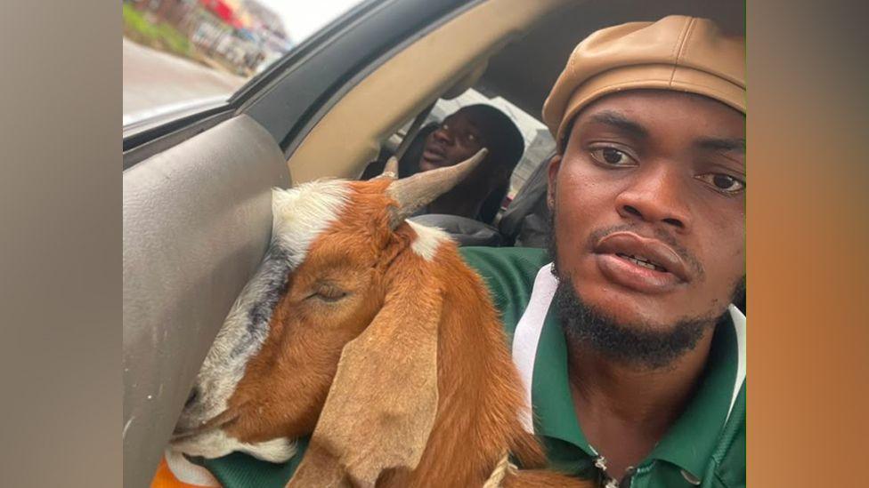 Graduation Surprise: Goat Gift Goes Viral in Nigeria