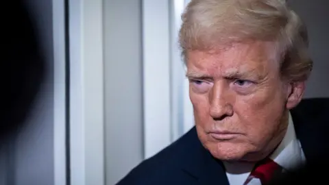 Trump Commutes Sentence of Fraudster Executive Days After Imprisonment