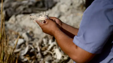 Families of the Missing in Syria Seek Justice Amid Ongoing Discoveries of Mass Graves