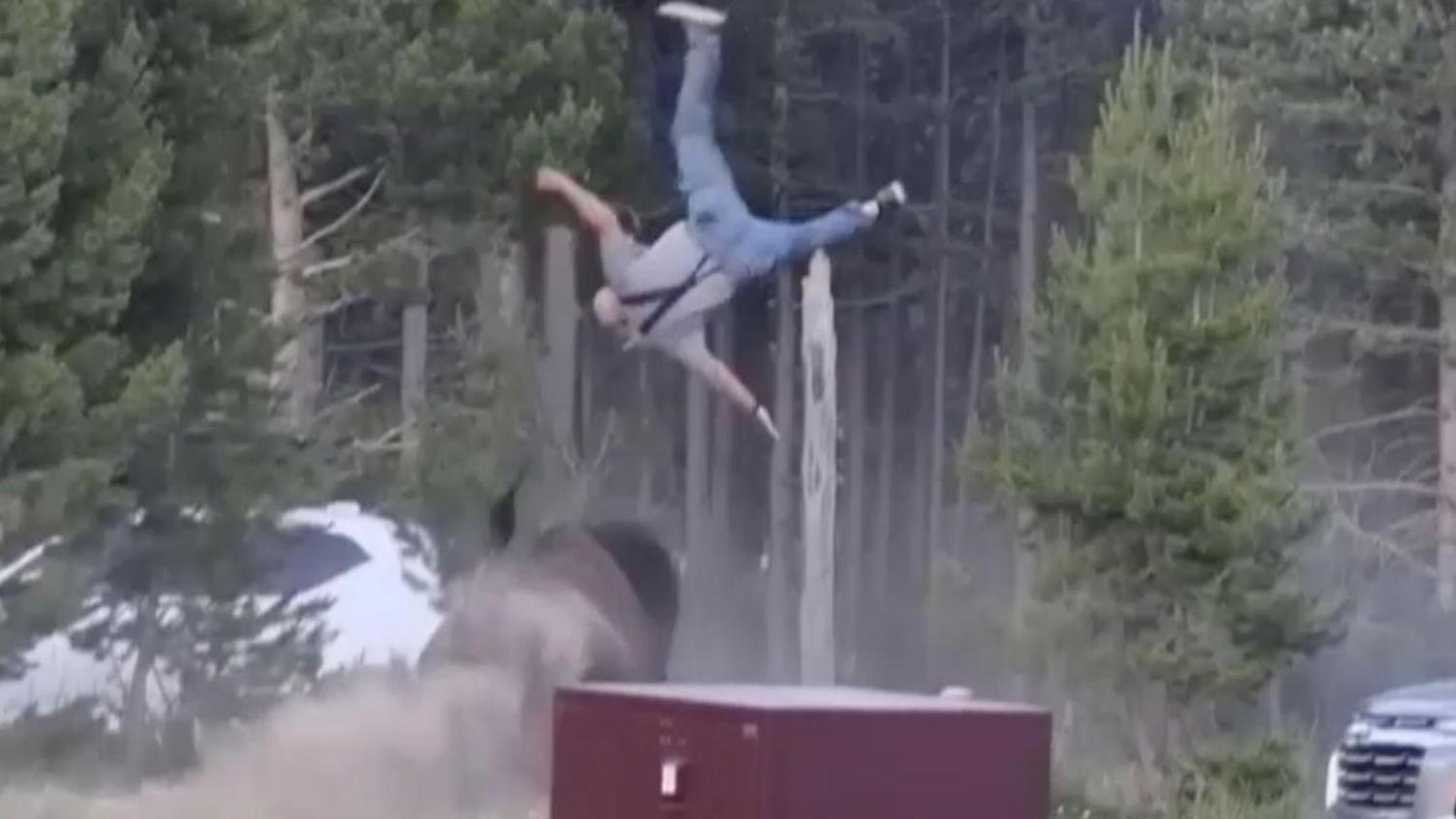 Bison attack in Yellowstone knocks elderly man airborne